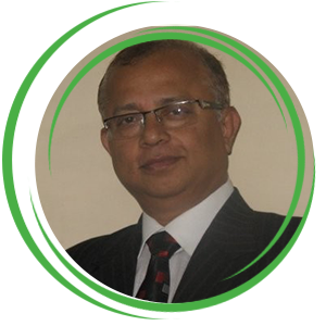 Mr. Ulhas Parlikar